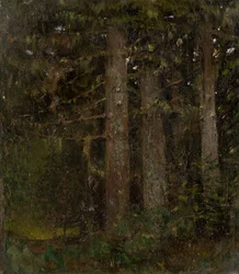 Inne i skogen II